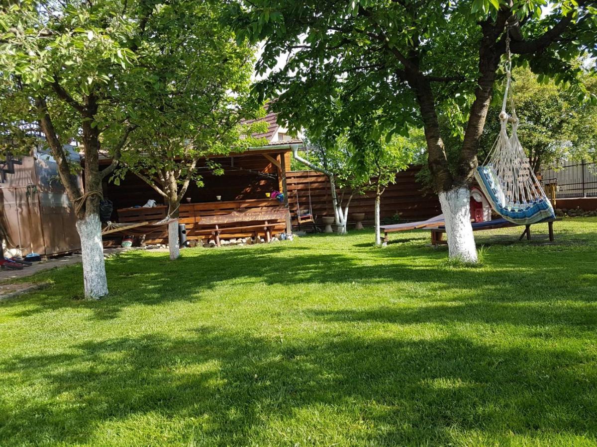 Sport Hostel Cluj Zewnętrze zdjęcie