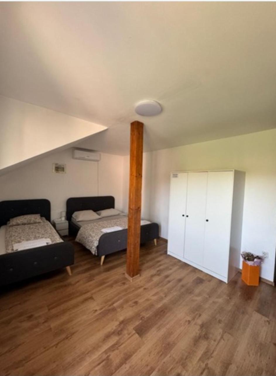 Sport Hostel Cluj Zewnętrze zdjęcie